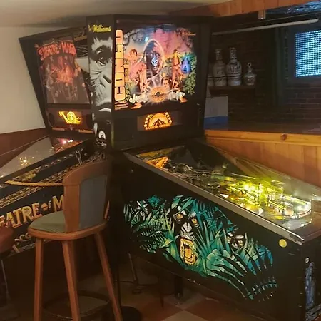 Near Frankfurt +32 Pinball, Arcade, Billiard,dart Apartment