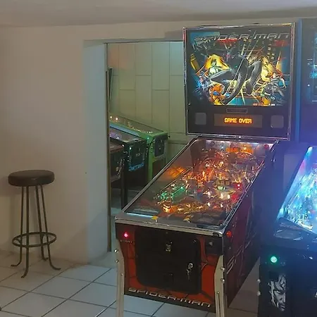 Near Frankfurt +32 Pinball, Arcade, Billiard,dart Apartment *